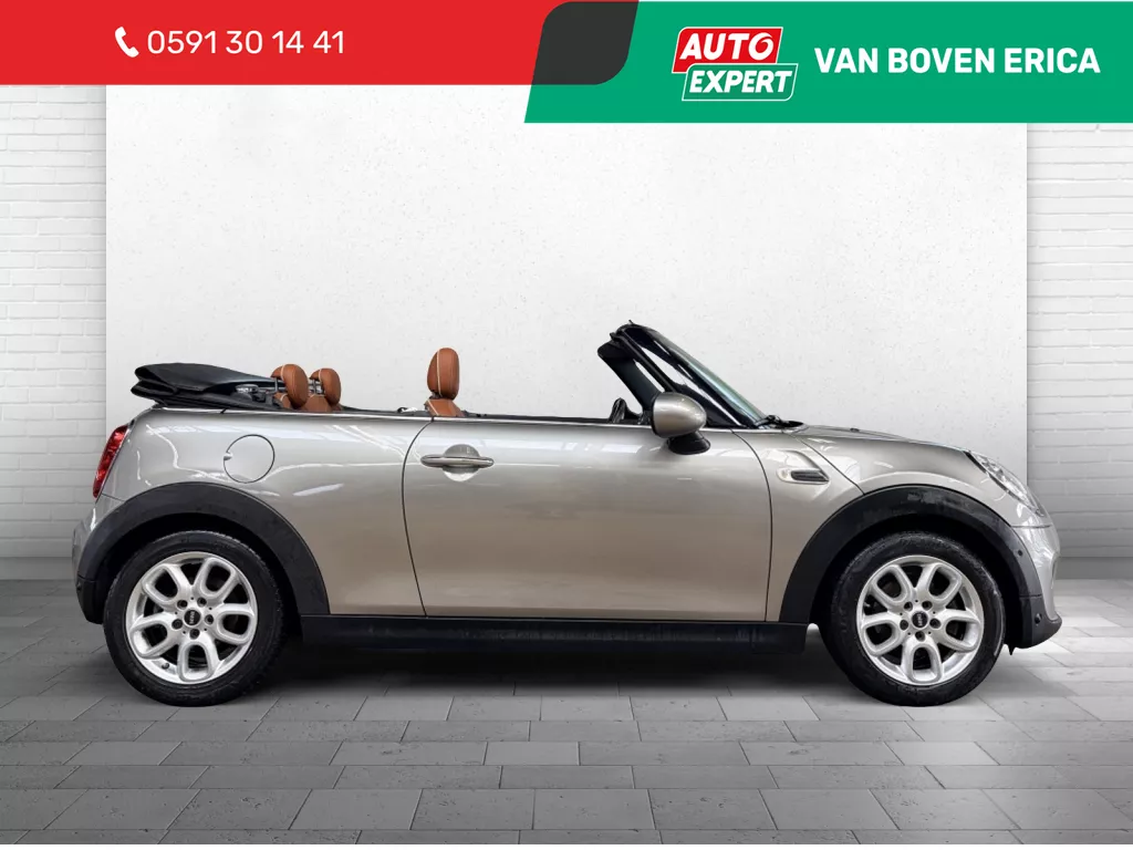 MINI Cabrio Cooper Chili Leder Cruise Clima Navi Pdc