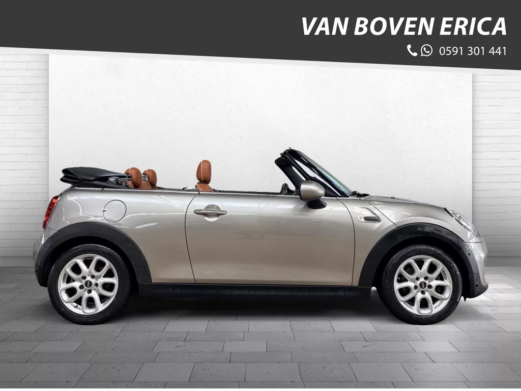 MINI Cabrio Cooper Chili Leder Cruise Clima Navi Pdc